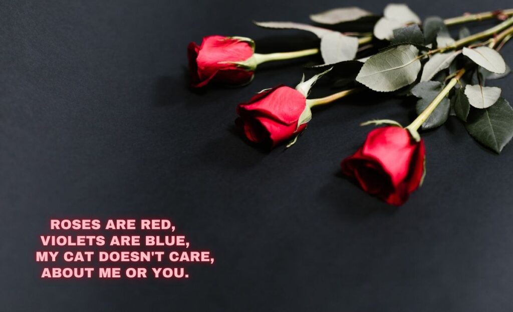 funny-roses-are-red-poem-for-pet-lovers