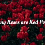 funny-roses-are-red-poems